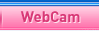 Web Cam